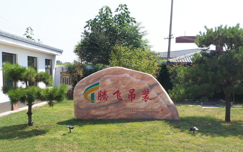 Shandong Tengfei Hoisting Engineering Co., Ltd. কারখানা উত্পাদন লাইন